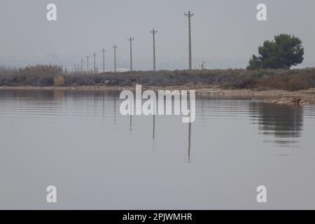 Pink Lake im Naturpark der Lagunen La Mata und Torrevieja, Alicante, Spanien Stockfoto