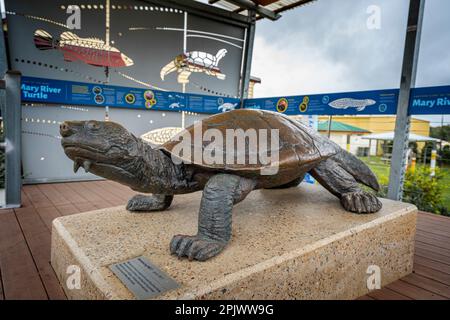 Skulptur der vom Aussterben bedrohten Mary River Turtle, Tiaro, Queensland Australien Stockfoto