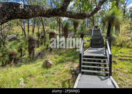 Treppen und Gehweg aus recyceltem Material, Coomba Falls, Maidenwell, Queensland Australien Stockfoto