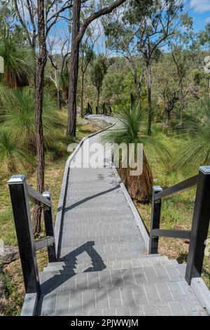 Treppen und Gehweg aus recyceltem Material, Coomba Falls, Maidenwell, Queensland Australien Stockfoto