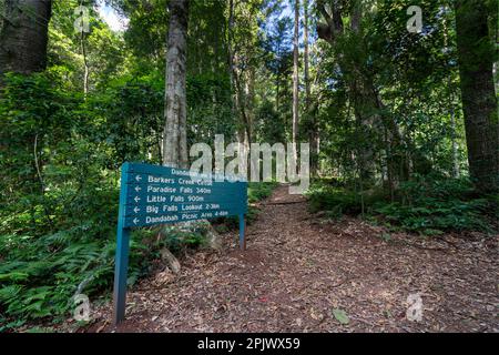 Wegweiser auf dem Wanderweg im Bunya Mountains National Park, Queensland Australien. Stockfoto