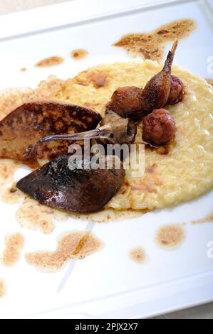 Das Risotto mit Holzhahn ist ein traditionelles Gericht der Jagdzeit. Stockfoto