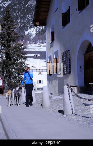 Ein Spaziergang mit Hunden im Dorf La Punt Chamues, Engadin, Schweiz Stockfoto