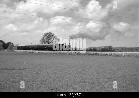 '30053' und Zug in der Nähe von Northiam. Stockfoto