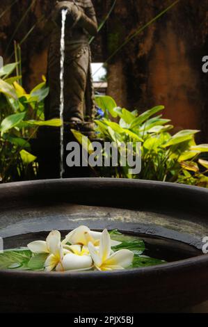 In Bali gibt es zahlreiche kleine und elegante charmante Hotels. Stockfoto