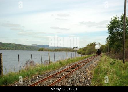 „Winifred“ am Ufer des Bala-Sees in der Nähe von Flag Halt. Stockfoto