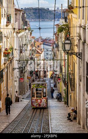 Elevador da Bica Seilbahn im Stadtzentrum von Lissabon, Portugal Stockfoto