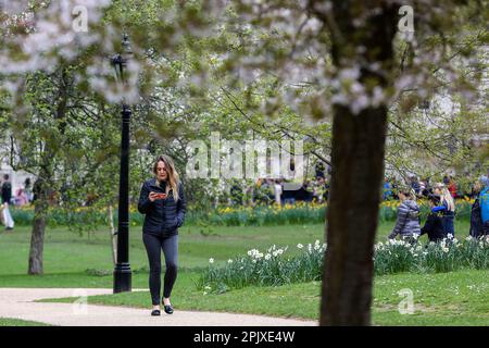 London, Großbritannien. 03. April 2023. Eine Frau schaut auf ihr Mobiltelefon, während sie im Frühling im St. James's Park im Zentrum von London spaziert. In den nächsten Tagen wird in London Frühlingssonne erwartet. (Foto: Steve Taylor/SOPA Images/Sipa USA) Guthaben: SIPA USA/Alamy Live News Stockfoto