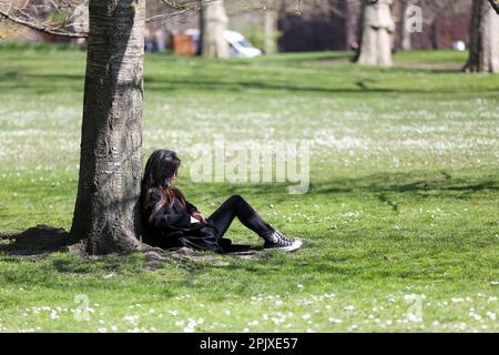 London, Großbritannien. 03. April 2023. Eine Frau im St. James's Park im Zentrum von London genießt das Frühjahrswetter. In den nächsten Tagen wird in London Frühlingssonne erwartet. (Foto: Steve Taylor/SOPA Images/Sipa USA) Guthaben: SIPA USA/Alamy Live News Stockfoto