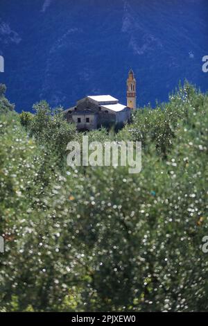 Notre Dame du Mont, Breil sur Roya, Vallee de la Roya, Parc national du Mercantour, Alpes Maritimes, 06, Cote d'Azur, Frankreich Stockfoto