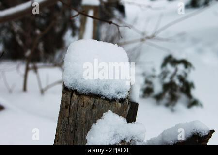 Frischer Schnee auf einem Zaunpfahl. Schneebedecktes Feld und Bäume im Hintergrund unscharf. Stockfoto