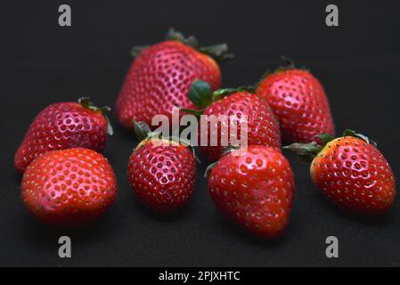 Köstliche große rote Erdbeeren auf schwarzem Hintergrund. Rote Beere. Berry Victoria. Stockfoto