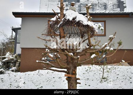 Dekorative Zuführung für Wildvögel aus mit Schnee bedeckten Baumzweigen vor dem Stall Stockfoto