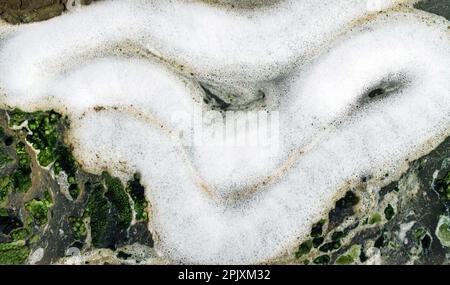 Ansicht von oben: Abwasser mit Luftblasen und Moos, das durch einen gerissenen Graben fließt. Sauerstoffblase in der Schmutzwasseraufbereitung in einem wassergefüllten Graben Stockfoto