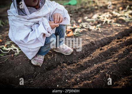 Kindheitsfreuden und Gartenfreuden. Ein kleines Mädchen neigt liebevoll dazu, Erbsenpflanzen in der Sommersonne zu wachsen Stockfoto