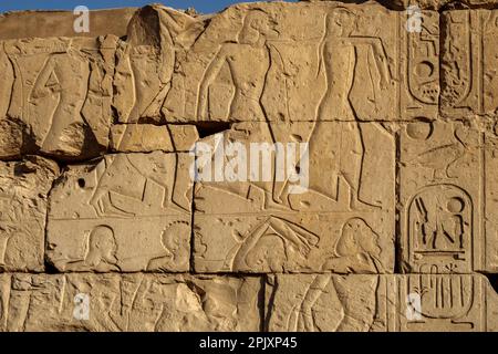 Details der Kampfszenen auf dem Vorplatz des Tempels von Seti I, Abydos, Ägypten Stockfoto