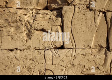 Details der Kampfszenen auf dem Vorplatz des Tempels von Seti I, Abydos, Ägypten Stockfoto