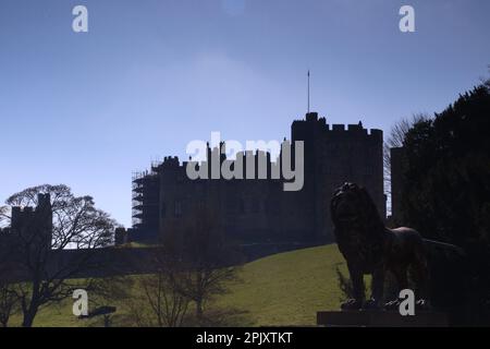 Schloss Alnwick, Northumberland. 4. April 2023, Wetter in Großbritannien: Alnwick Castle in Northumberland mit Narzissen als Frühling in Großbritannien, Credit:DEW/Alamy Live News Stockfoto