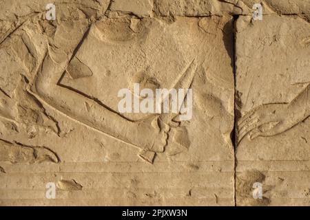 Details der Kampfszenen auf dem Vorplatz des Tempels von Seti I, Abydos, Ägypten Stockfoto