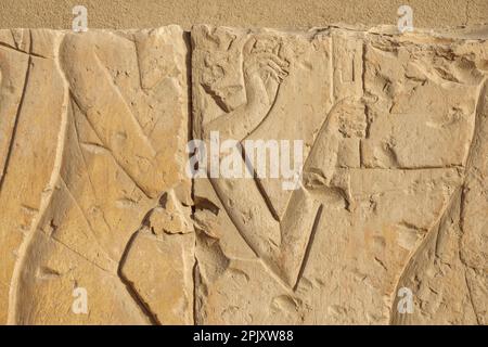 Details der Kampfszenen auf dem Vorplatz des Tempels von Seti I, Abydos, Ägypten Stockfoto