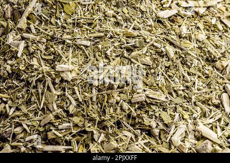 Yerba Mate, auch Mate oder Congonha genannt, als Mate Tea, chimarrão oder Tereré in Brasilien, Paraguay, Argentinien, Uruguay, Bolivien und Chile , Macro Stockfoto