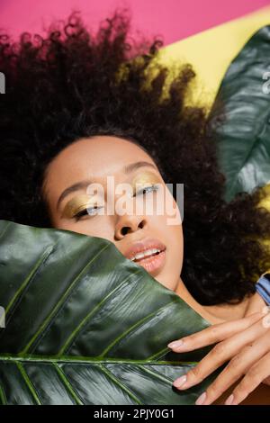 Draufsicht einer lockigen afroamerikanischen Frau, die sich in der Nähe grüner Palmenblätter auf Pink bräunt Stockfoto