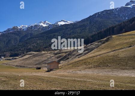 Neustift im Stubaital, Österreich - 16. März 2023 - wunderschöne Wiesen und Hügel in der Nähe von Neustift am Ende der Wintersaison Stockfoto