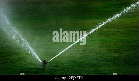 Sprinkler in einem Park, der Wasser spritzt, das üppiges grünes Gras bewässert Stockfoto