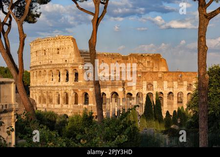 Das Kolosseum bei Sonnenuntergang in der Stadt Rom in Latium, Italien. Antikes Flavianisches Amphitheater und Gladiatorenstadion vom Palatin aus gesehen. Stockfoto