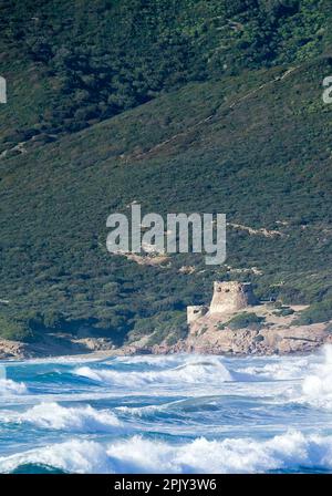 Torre Bianca e Mareggiata a Porto Ferro, SS, Sardegna, Italien Stockfoto