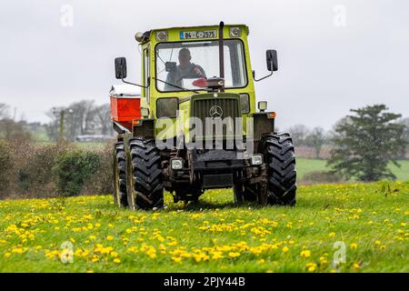 Timoleague, West Cork, Irland. 4. April 2023. David Deasy, der Milchbauer aus Timoleague, verteilt auf seinem 30 Hektar großen Feld mit einem 1984 MB Trac 900 und einem Rauch MDS 18,2 Düngerstreuer geschützten Harnstoffdünger. Kredit: AG News/Alamy Live News Stockfoto