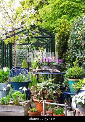 Städtischer Garten oder kleiner / Mini / englische Blumen vertikaler Garten schöner und grüner, frischer Start in den Frühling. Städtischer Gemüsegarten. Stockfoto