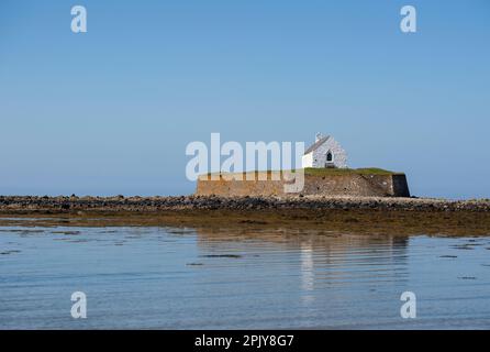 St. Cwyfan mittelalterliche Kirche, Llangadwaladr, Anglesey, Nordwales. Das Hotel liegt auf der kleinen Gezeiteninsel Cribinau, es ist bekannt als die Kirche im Meer. Stockfoto