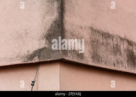 Schwarzer Schimmel wächst an der Wand eines wärmegedämmten Wohnhauses. Es ist ein häufiges Problem mit Polystyrolplatten, die seit einiger Zeit eine Isolierung für das Haus installiert haben Stockfoto