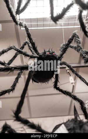 Große Spielzeugspinne, die vom Dach hängt Stockfoto