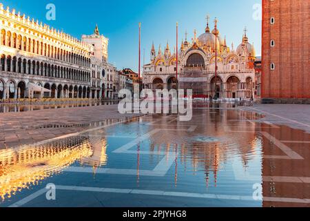 Piazza San Marco, Markusplatz bei Sonnenaufgang, überflutet von Hochwasser während Hochwasser, Venedig, Italien Stockfoto