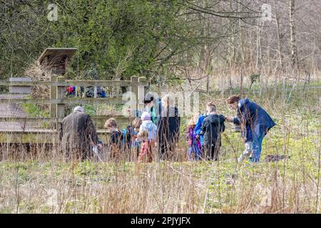 Gruppe von Kindern mit Erwachsenen, die beim Tauchen im Gallows Hill Nature Reserve, Otley, West Yorkshire, England, Großbritannien etwas über die Tierwelt erfahren Stockfoto