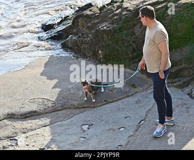 Weston Super Mare, Großbritannien. 19. Juli 2022. An einem warmen Nachmittag geht der Besitzer mit Luna, der Katze, spazieren. Bildnachweis: Robert Timoney/Alamy Live News Stockfoto