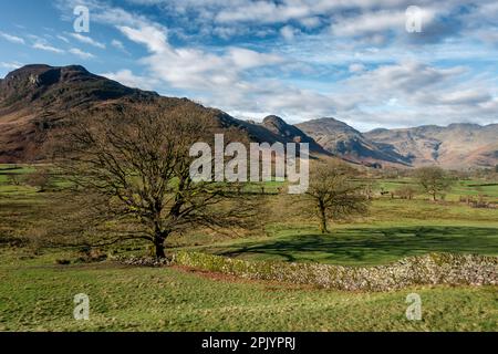 Atemberaubende Aussicht auf das Langdale Valley mit Blick auf Crinkle Crags an einem wunderschönen Frühlingstag, Lake Distict National Park, Cumbria, England, Großbritannien Stockfoto