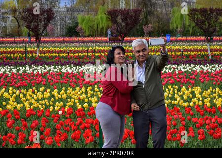 Srinagar, Kaschmir, Indien. 4. April 2023. Ein indisches Touristenpaar macht an einem bewölkten Frühlingstag ein Selfie im größten Tulpengarten Asiens. Trotz des schlechten Wetters strömen Touristen in den berühmten Tulpengarten in Srinagar. Nach offiziellen Angaben haben mehr als 100.000 Touristen den Garten in den ersten zehn Tagen nach seiner Eröffnung besucht. 1,6 Millionen Tulpen blühen im weltweit größten Garten am Ufer des Dal-Sees. (Kreditbild: © Saqib Majeed/SOPA Images via ZUMA Press Wire) NUR REDAKTIONELLE VERWENDUNG! Nicht für den kommerziellen GEBRAUCH! Stockfoto