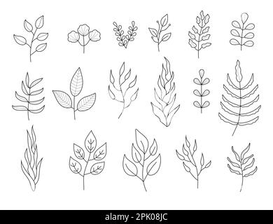 Pflanze Zweige Kritzelsatz Vektor. Blumenzweig und minimalistische Blätter für Tattoo oder Logo. Baumzweige mit Blättern und Blumen. Stock Vektor