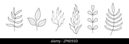 Pflanze Zweige Kritzelsatz Vektor. Blumenzweig und minimalistische Blätter für Tattoo oder Logo. Baumzweige mit Blättern und Blumen. Stock Vektor