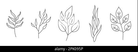Pflanze Zweige Kritzelsatz Vektor. Blumenzweig und minimalistische Blätter für Tattoo oder Logo. Baumzweige mit Blättern und Blumen. Stock Vektor