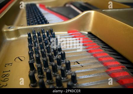 Grand Piano Strings, Karosserie; Pegs & Hammer Closeup 1 Stockfoto