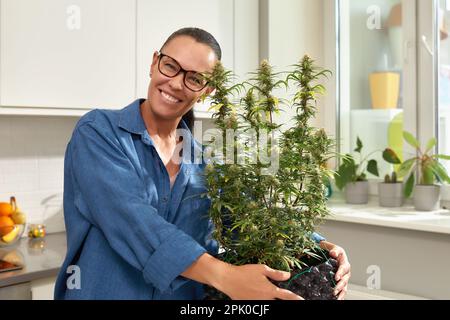 Glückliche Frau mit Cannabisbusch zu Hause, Cannabisanbau im Haus, Kultur des Anbaus von Cannabis zu Hause, das Konzept von Cannabis als Medizin. Stockfoto