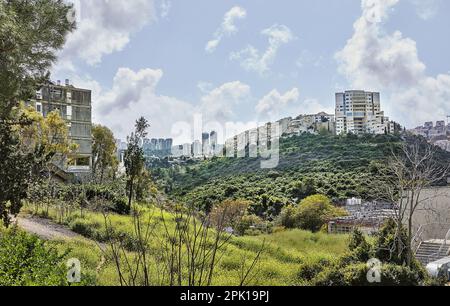 Neue und alte Gebäude in der Stadt Haifa im Grün am Hang der Schlucht, im Frühling Stockfoto