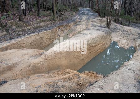 Schwere Erosion von Offroad-Strecken im Lerderderg State Park, Nordwestküste von Melbourne, Australien, April 2023 Stockfoto