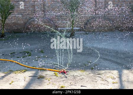 Rasensprenger im Garten in Aktion, der das Gras bewässert Stockfoto