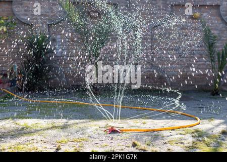 Gartensprenger bewässern den Rasen an einem sonnigen Tag. Selektiver Fokus. Stockfoto