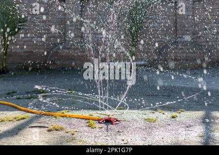 Gartenrasensprenger in Aktion Bewässerung Garten in einem Frühling an einem wunderschönen sonnigen Tag. Selektiver Fokus. Stockfoto